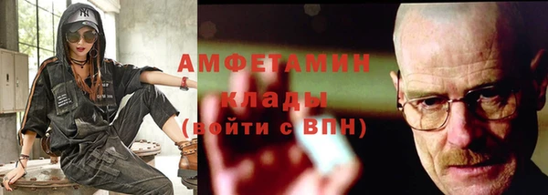 крисы Абаза