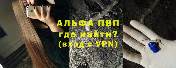 крисы Абаза