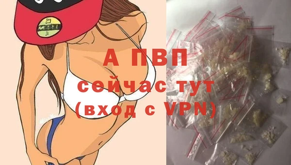 крисы Абаза
