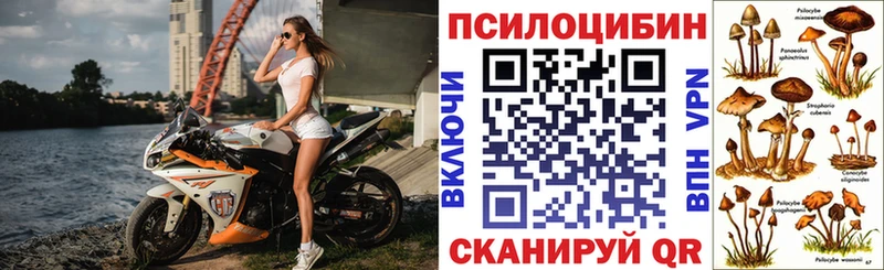 купить  сайты  Лиски  Псилоцибиновые грибы мицелий 